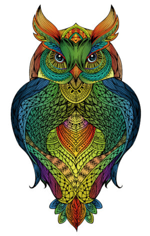 Owl Rainbow Wooden Puzzle - Afbeelding 2